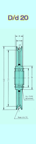 dd20