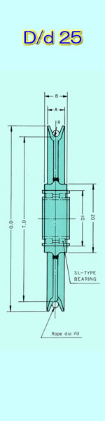 dd25